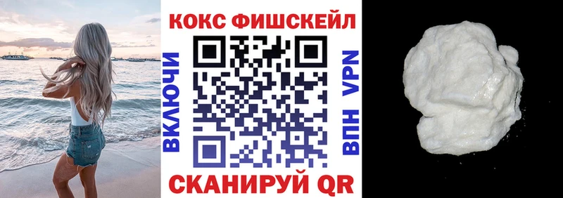 Cocaine Fish Scale сколько стоит Гудермес